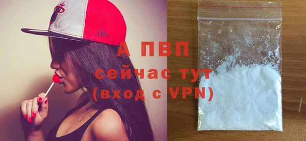 дживик Каменногорск