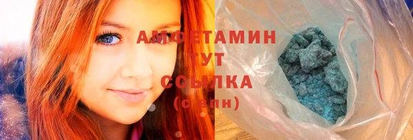 молекула духа Каменка