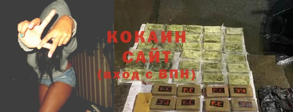 дживик Каменногорск