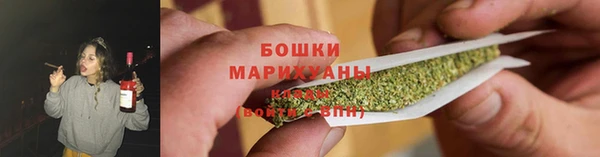 дживик Каменногорск