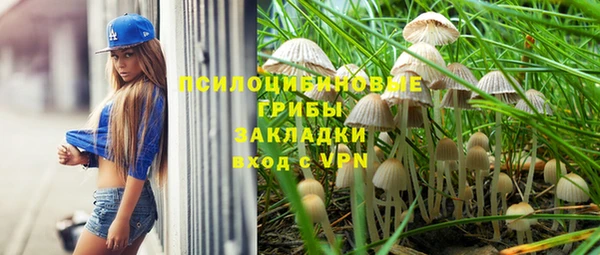 PSILOCYBIN Каменск-Шахтинский