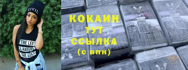 молекула духа Каменка