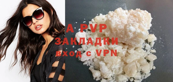 PSILOCYBIN Каменск-Шахтинский