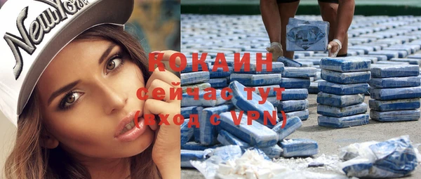 дживик Каменногорск