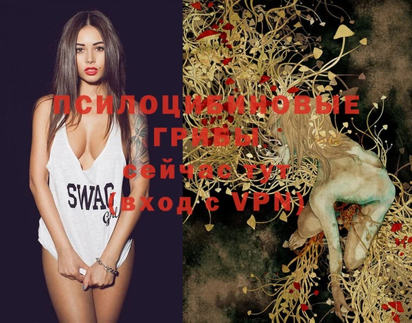 PSILOCYBIN Каменск-Шахтинский