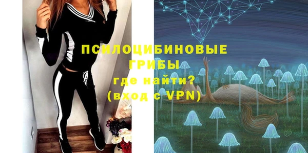 PSILOCYBIN Каменск-Шахтинский