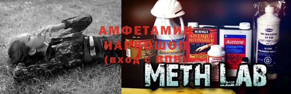 молекула духа Каменка